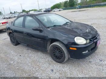  Salvage Dodge Neon