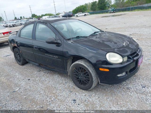  Salvage Dodge Neon