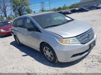  Salvage Honda Odyssey