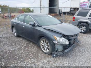  Salvage Nissan Maxima