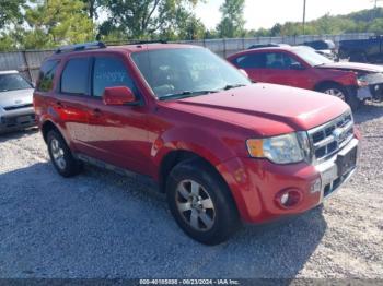  Salvage Ford Escape