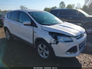  Salvage Ford Escape