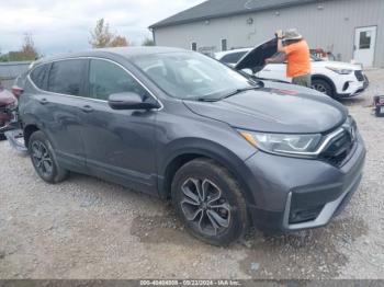  Salvage Honda CR-V