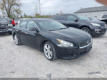  Salvage Nissan Maxima