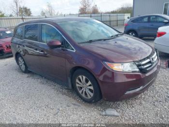  Salvage Honda Odyssey