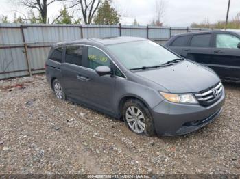  Salvage Honda Odyssey