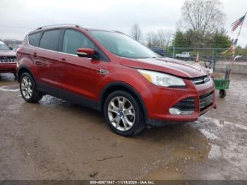  Salvage Ford Escape