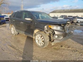  Salvage Kia Sorento