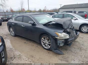  Salvage Nissan Maxima