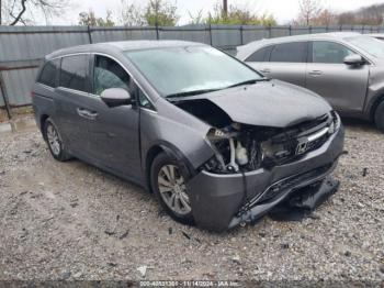  Salvage Honda Odyssey