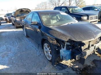  Salvage Nissan Maxima