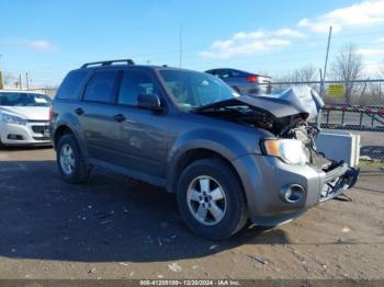  Salvage Ford Escape