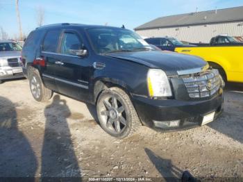  Salvage Cadillac Escalade