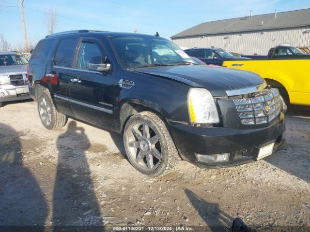  Salvage Cadillac Escalade