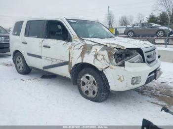  Salvage Honda Pilot