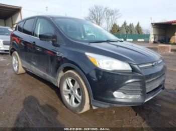  Salvage Ford Escape