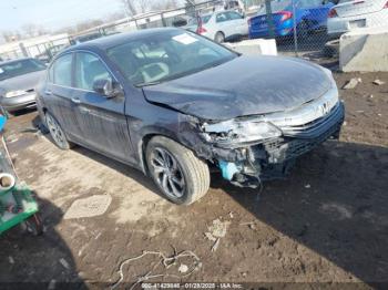  Salvage Honda Accord