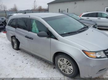  Salvage Honda Odyssey