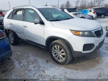  Salvage Kia Sorento