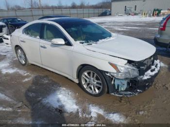  Salvage Nissan Maxima