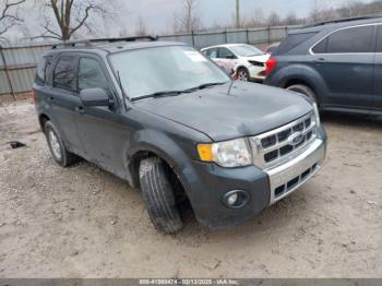  Salvage Ford Escape