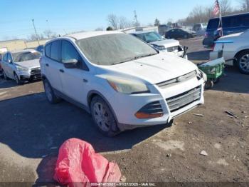  Salvage Ford Escape