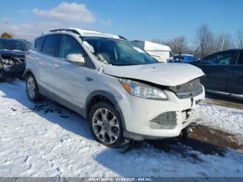  Salvage Ford Escape