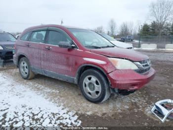  Salvage Honda CR-V