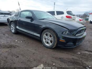  Salvage Ford Mustang