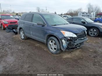  Salvage Honda CR-V