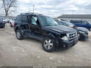  Salvage Ford Escape