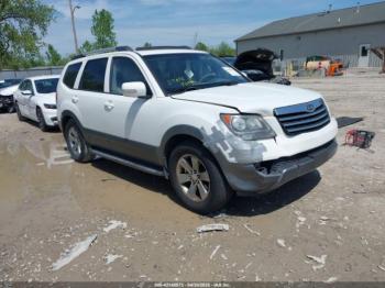  Salvage Kia Borrego