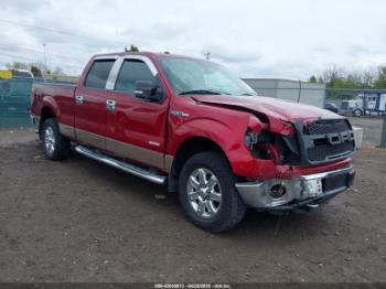  Salvage Ford F-150