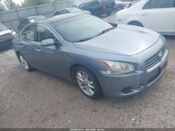  Salvage Nissan Maxima