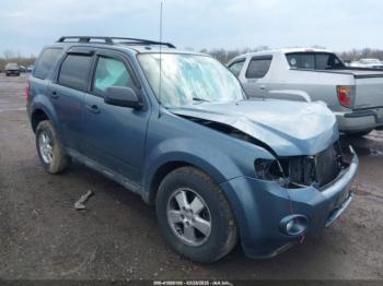  Salvage Ford Escape