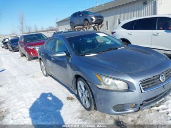  Salvage Nissan Maxima