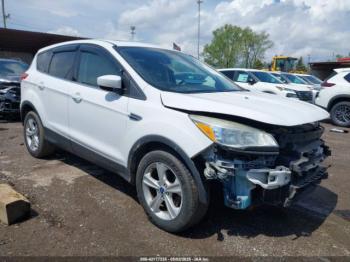  Salvage Ford Escape