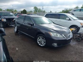  Salvage Lexus Es