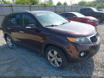  Salvage Kia Sorento