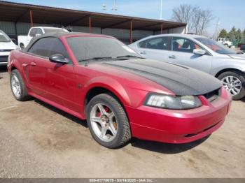  Salvage Ford Mustang