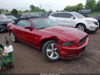  Salvage Ford Mustang
