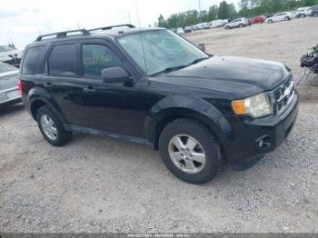  Salvage Ford Escape
