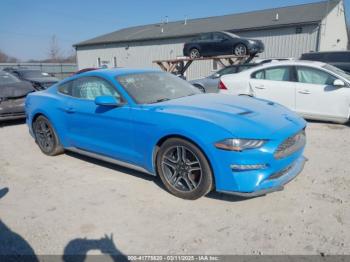  Salvage Ford Mustang