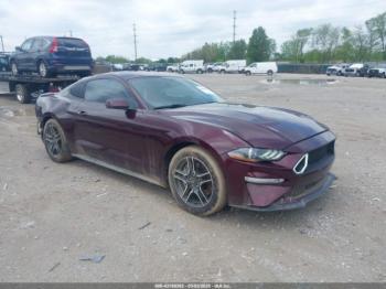  Salvage Ford Mustang