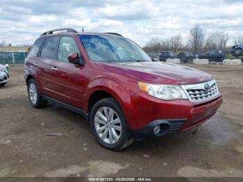  Salvage Subaru Forester