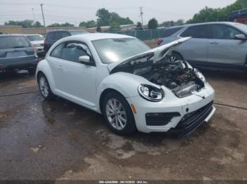  Salvage Volkswagen Beetle