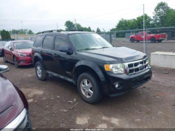  Salvage Ford Escape