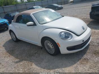  Salvage Volkswagen Beetle