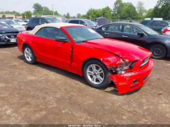  Salvage Ford Mustang
