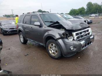  Salvage Ford Escape